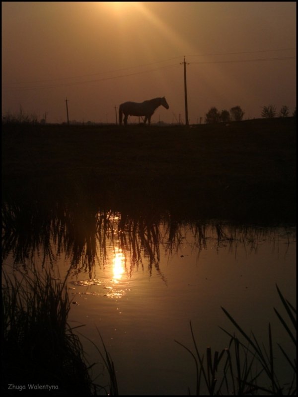 Фотовиставка Валентини Жуги